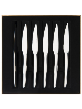 Guy Degrenne Guest Miroir Stainless Steel Set of 6 knives