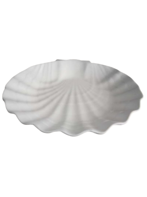 XX Large Shell