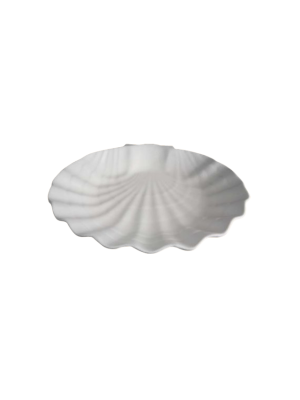 Medium Shell