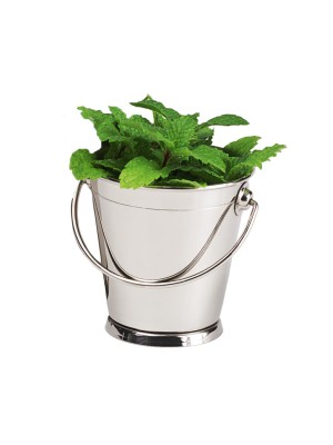 2.75" Round Mini Serving Pail, 2.75" Tall
