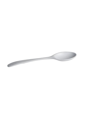 Server Spoon 11.5