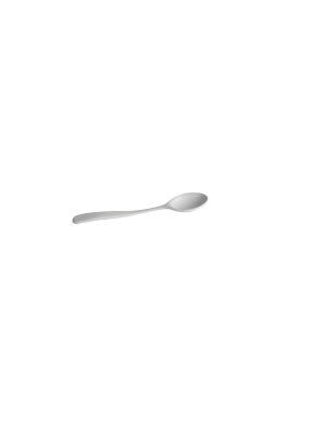 Server Spoon 13.5
