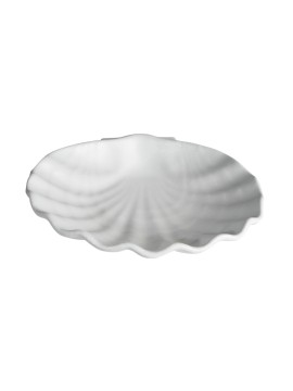 Large Shell