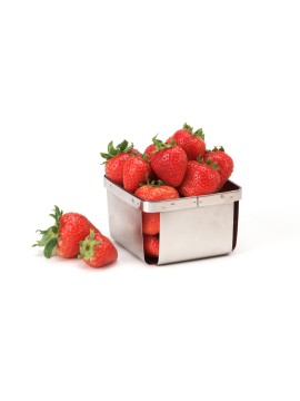 4.5" Square Berry Basket, 2.5" Tall