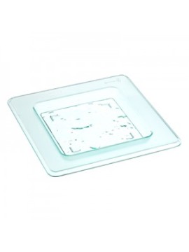 Small Square Plate