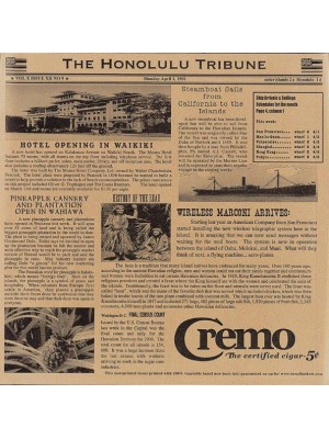 12" x 12" Food-Safe Hawaii Newsprint Liner, Brown, 1000 pieces./cs. 12" x 12" Food-Safe Hawaii Newsprint Liner, Brown, 1000 pieces./cs.